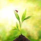 Cool green Cool green